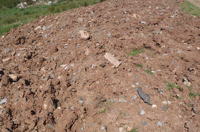 Bob Gay Plant Hire Ltd has been prosecuted for illegal soil and waste dumping on Elgwysilan Common