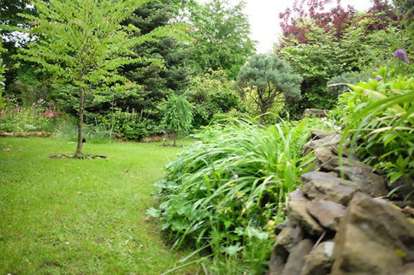 Hillcrest Garden, Cefn Fforest