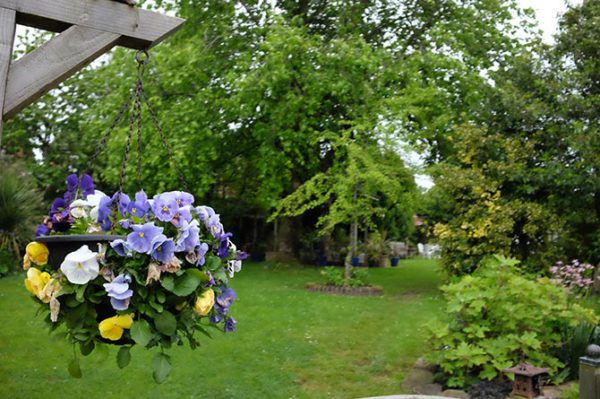 Hillcrest Garden, Cefn Fforest