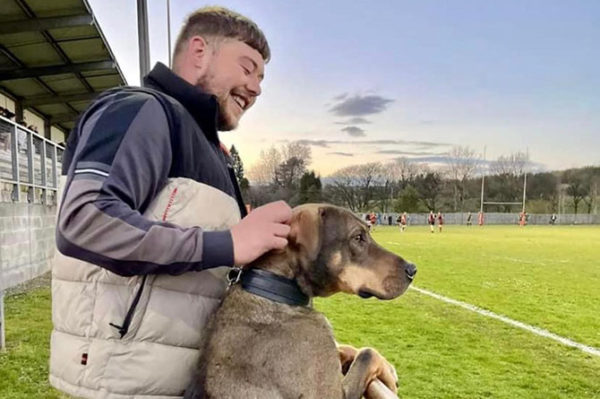 16 month old bull cross Yogi was another one of the family's dogs that sadly didn't make it