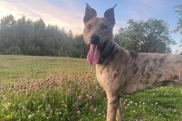 Narla was just 14 months old when she tragically died in the fire 