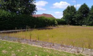 Oakdale bowling green is not maintained by the council