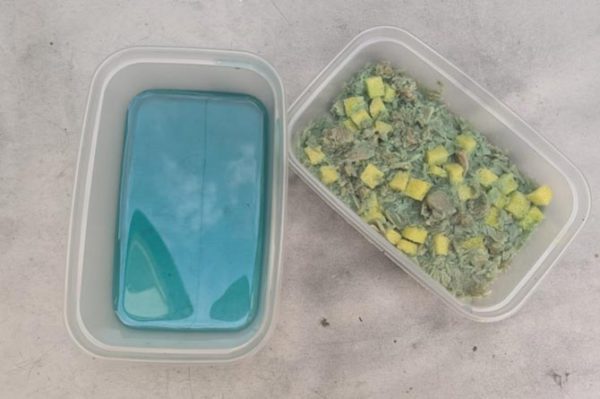 Tubs containing the poison laid down by Tristan Pearson