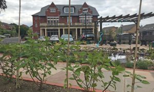 The Climate Change Garden at Caerphilly Miners' Centre
