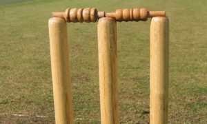 cricket stock image