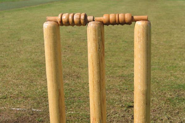 cricket stock image