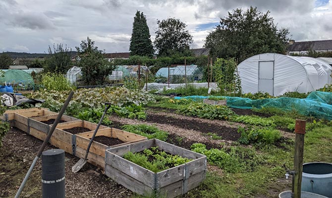 Pontygwindy Allotments, Caerphilly
