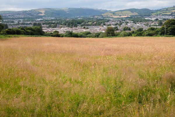 Gwern y Domen overlooking Lansbury Park