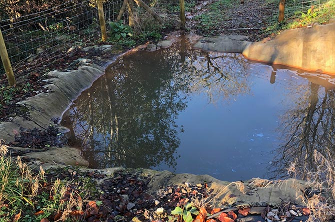A quarry leachate at Ty Llwyd