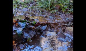 Pollution near Ty Llwyd quarry, Ynysddu