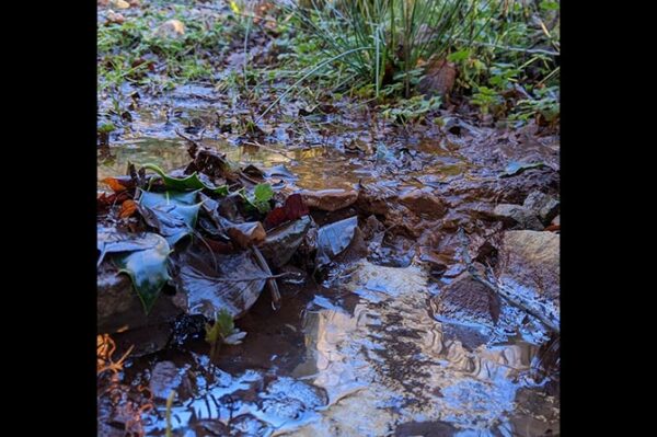 Pollution near Ty Llwyd quarry, Ynysddu