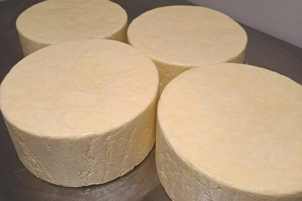 Caerphilly cheese produced in Caerphilly by Cwmni Caws Caerffili