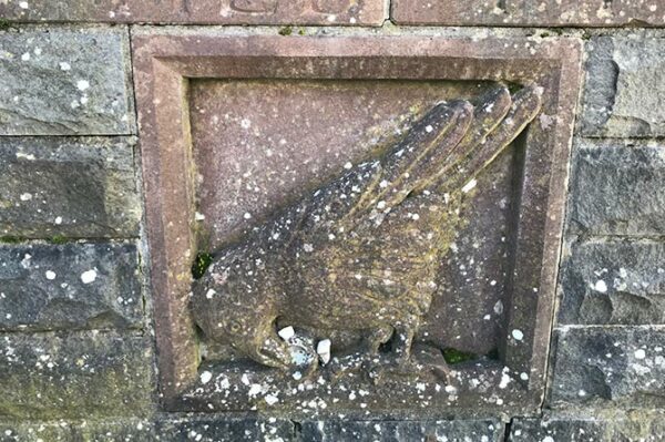 Some of the treasures 'stolen' by the jackdaws