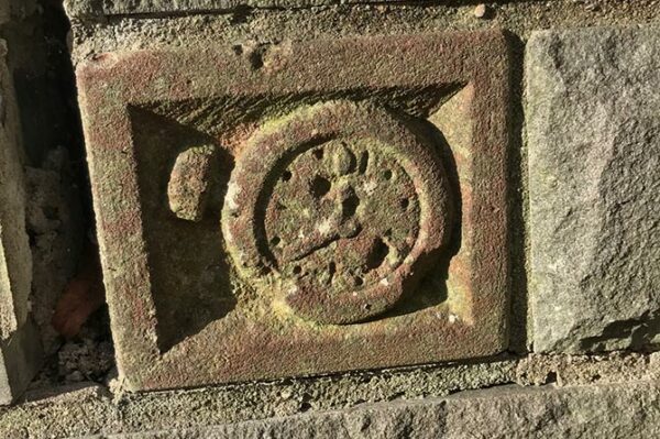 Some of the treasures 'stolen' by the jackdaws