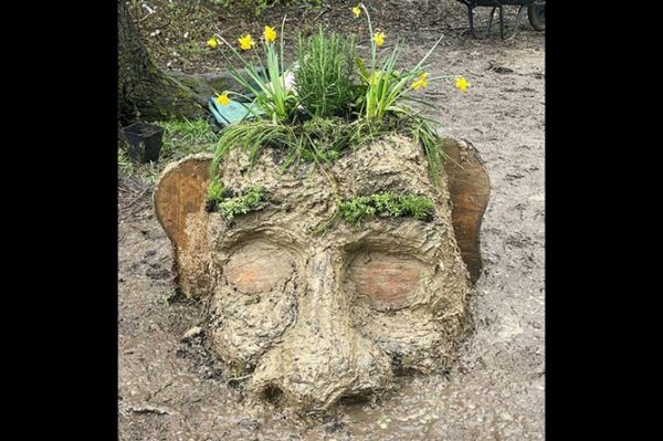 A giant's head in the Ty'n y Wern school garden