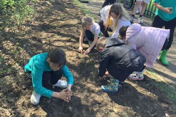 Ty'n y Wern pupils working on their bee corridor
