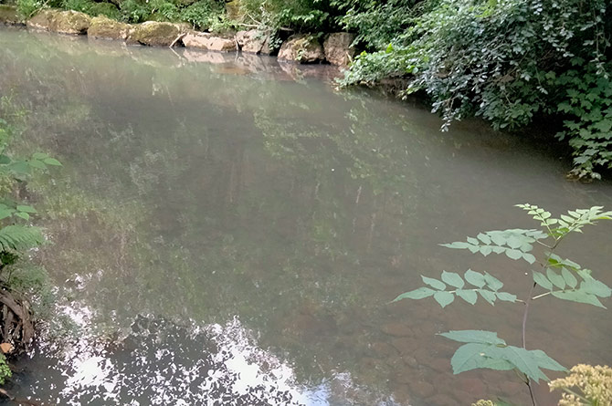 A 7km stretch of the Sirhowy River has been contaminated
