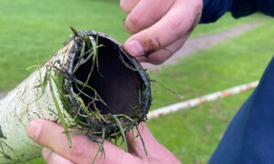 Fleur De Lys Football Club claim their goal posts were cut down by an angle grinder