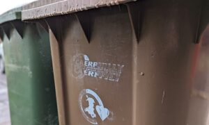Caerphilly wheelie bins