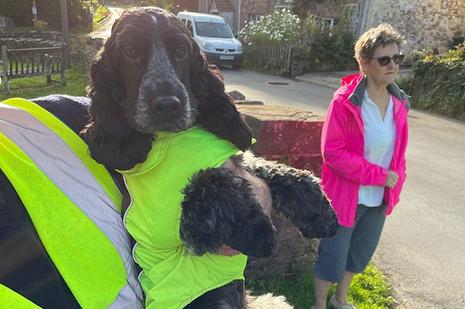 Even Bailey the cocker spaniel was out in support of the campaign