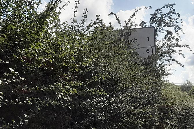 A road sign covered in foliage in Hengoed