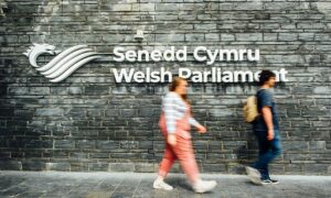 Senedd stock image