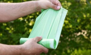 Caerphilly Council is to start giving out free food waste bags to residents