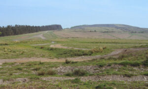 Mynydd y Grug, Bedwas