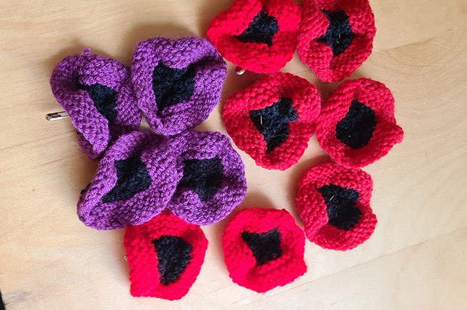Some of the hand-knitted poppies made by Susan