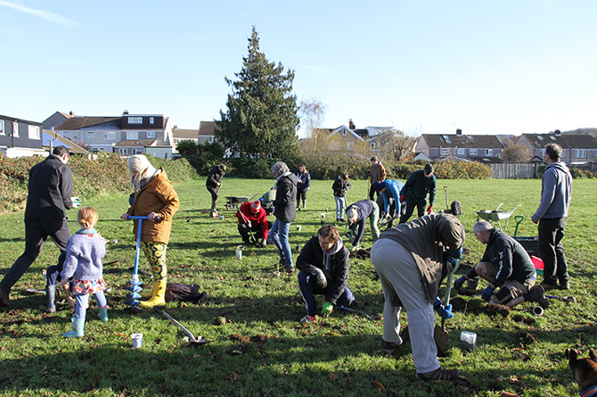 More than 180 trees have been planted in Caerphilly thanks to a community effort