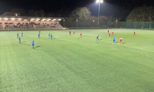 Trethomas Bluebirds v Risca United