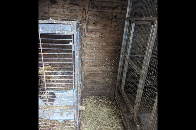One of the sheds at Caerphilly Bird Rescue