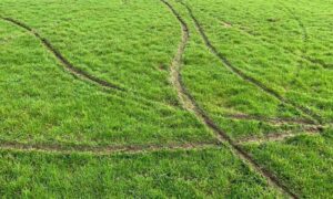 Fleur De Lys FC and RFC have motorbike track marks all over their pitches