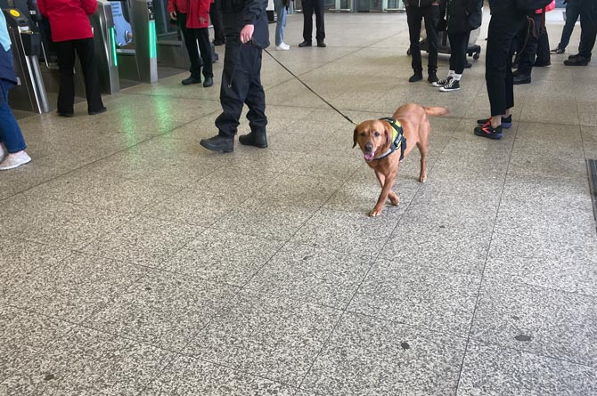 Dogs patrolled outside the entry gates to Cardiff Central Station