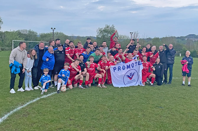 The Bluebirds will play in the Cymru South next season