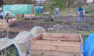 One of the group's new raised beds