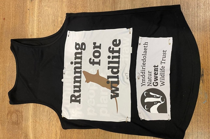 The reusable patches on the running gear