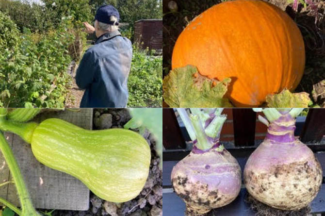 Nant y Calch Allotment Society is appealing for new members