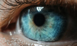 eye stock image