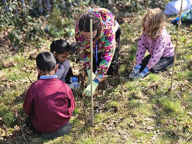 Plasyfelin pupils planting trees for their new tree corridor
