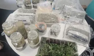 Cannabis was seized by police after a raid in Llanbradach