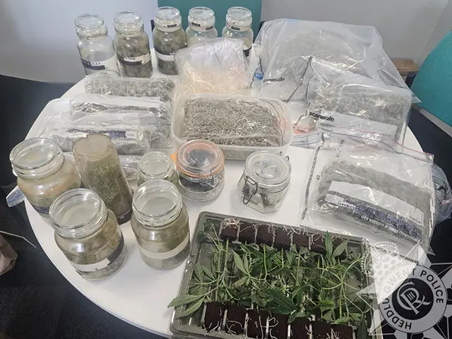 Cannabis was seized by police after a raid in Llanbradach