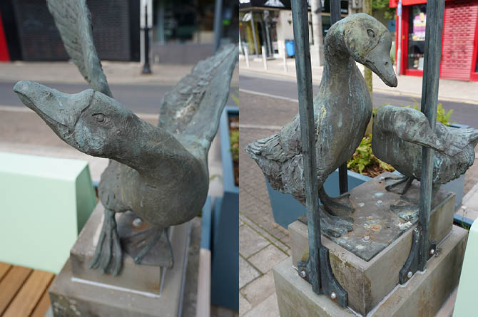 Julie Westerman's geese sculptures have been lowered to a more prominent position on Windsor Square