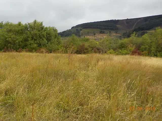 The land at Dan Y Graig, Risca