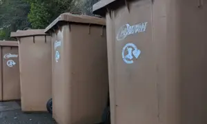 General picture of Caerphilly Council bins