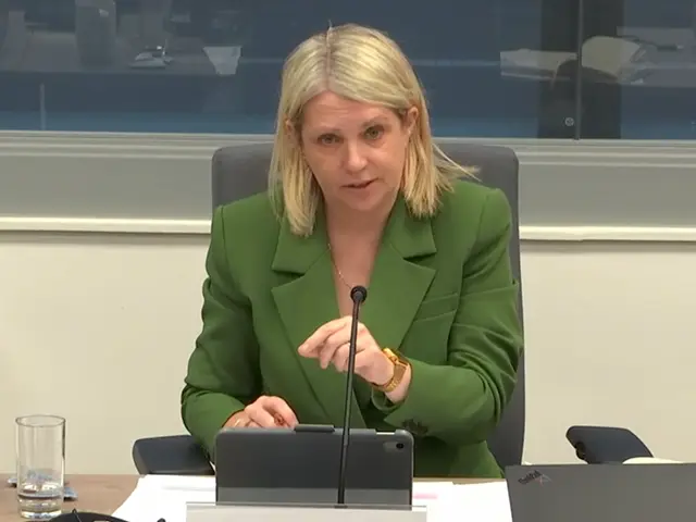 Labour MS Hannah Blythyn