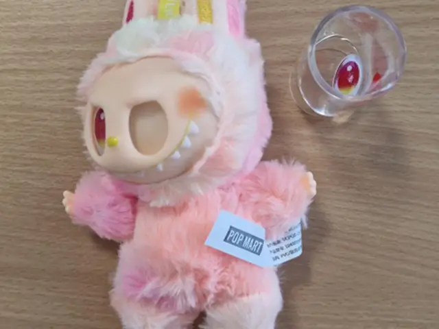 One of the fake Labubu dolls seized by the council