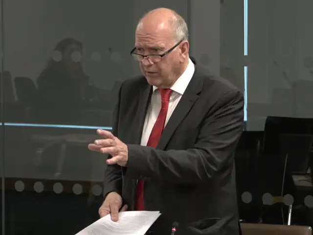 Labour MS David Rees
