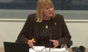 Labour MS Carolyn Thomas