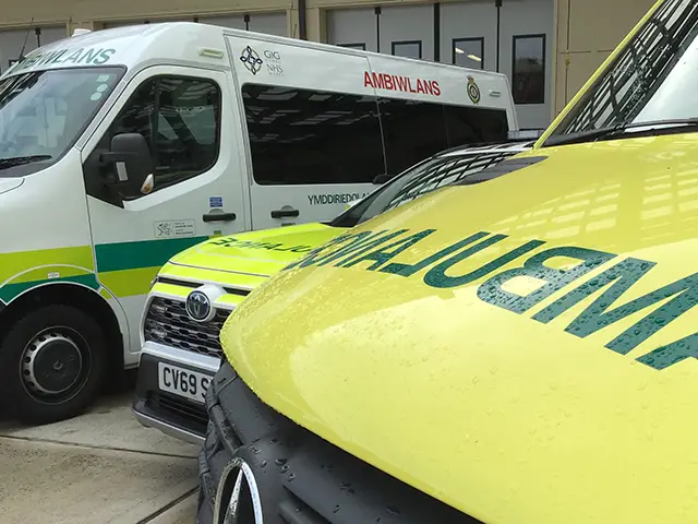 The Welsh Government is paying for 160 new ambulances